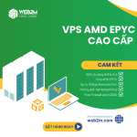 VPS AMD EPYC - Hiệu Năng Vượt Trội, Giá Tốt Tại Web2M